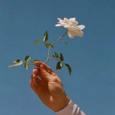 满汉全席小游戏下载